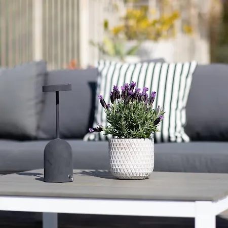 شقة Biancaleo Homes آفي